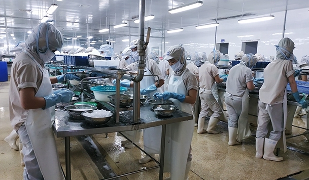 Công ty CP XNK Thủy sản Nam Hà Tĩnh tuyển dụng lao động