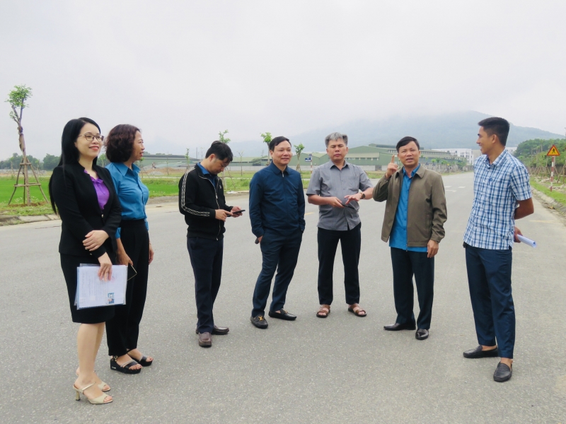 LĐLĐ Hà Tĩnh: Nghiệm thu và bàn giao Hàng cây xanh Công đoàn tại Thị xã Hồng Lĩnh