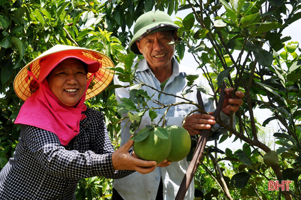 Công đoàn đỡ đầu, người dân Mai Phụ xây dựng vườn mẫu thành công