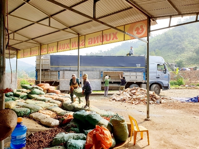 Hướng dẫn trả lương và thực hiện các chế độ đối với người lao động bị ngừng việc do ảnh hưởng của dịch bệnh Covid-19. 