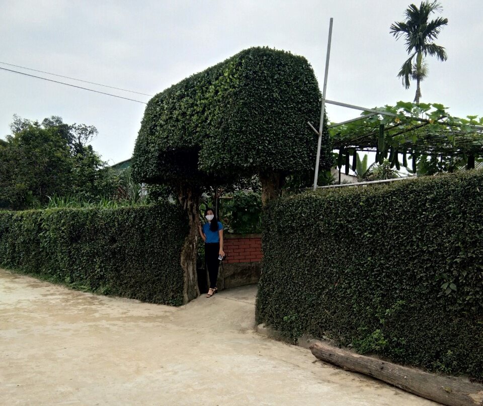 Vũ Quang: Đoàn viên công đoàn tích cực tham gia xây dựng vườn mẫu 