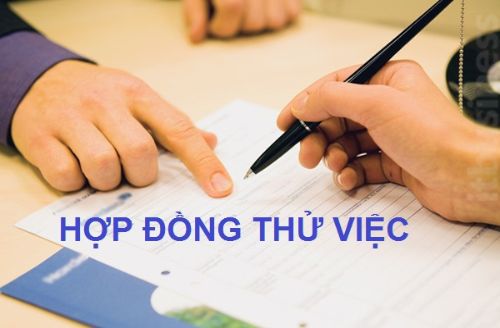 Những quy định về thử việc của người lao động