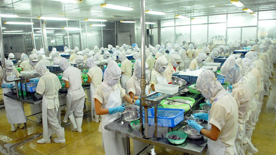 Công ty CP XNK Thủy sản Nam Hà Tĩnh tuyển dụng 200 lao động