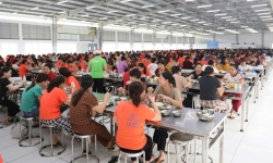 Hơn 1.400 công nhân lao động Công ty TNHH may mặc xuất khẩu Appareltech Hà Tĩnh tham gia “Bữa cơm Công đoàn” 