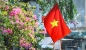 Thành Sen thắm màu cờ Tổ quốc đón mừng đại lễ 30/4